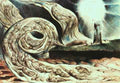 BLAKE WHIRLWIND OF LOVERS ILLUSTRATION TO DANTE S INFERNO A4 Photo Print