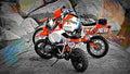 BMW Concept Lac Rose 2017 1 motorbike A4 Photo Print