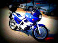 BMW F 650 1997 1 motorbike A4 Photo Print