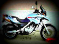 BMW F 650 1999 1 motorbike A4 Photo Print