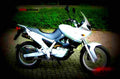 BMW F 650 2000 1 motorbike A4 Photo Print