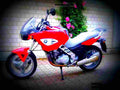 BMW F 650 CS 2003 1 motorbike A4 Photo Print