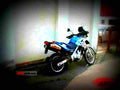 BMW F 650 GS Dakar 2001 4 motorbike A4 Photo Print