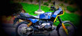 BMW R 100 GS 1992 1 640x284 motorbike A4 Photo Print