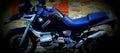BMW R 1100 GS 1994 1 640x284 motorbike A4 Photo Print