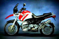 BMW R 1100 GS 1995 5 motorbike A4 Photo Print