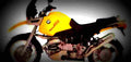 BMW R 1100 GS 1998 1 600x284 motorbike A4 Photo Print