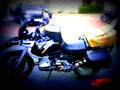 BMW R 1100 R 1995 4 motorbike A4 Photo Print