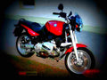 BMW R 1100 R 1995 6 motorbike A4 Photo Print