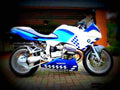 BMW R 1100 S 2000 6 motorbike A4 Photo Print