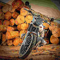 BMW R 45 (reduced effect) 1982 1 motorbike A4 Photo Print