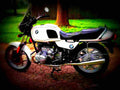 BMW R 65 1986 2 motorbike A4 Photo Print