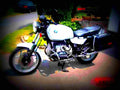 BMW R 65 1987 1 motorbike A4 Photo Print