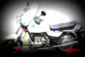 BMW R 65 (reduced effect) 1986 3 motorbike A4 Photo Print