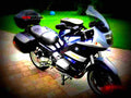 BMW R 65 (reduced effect) 1986 5 motorbike A4 Photo Print