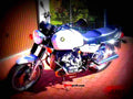 BMW R 80 1985 1 motorbike A4 Photo Print