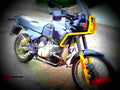 BMW R 80 1994 5 motorbike A4 Photo Print