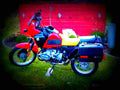 BMW R 80 GS 1993 5 motorbike A4 Photo Print