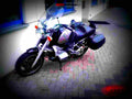 BMW R 850 R 1998 5 motorbike A4 Photo Print