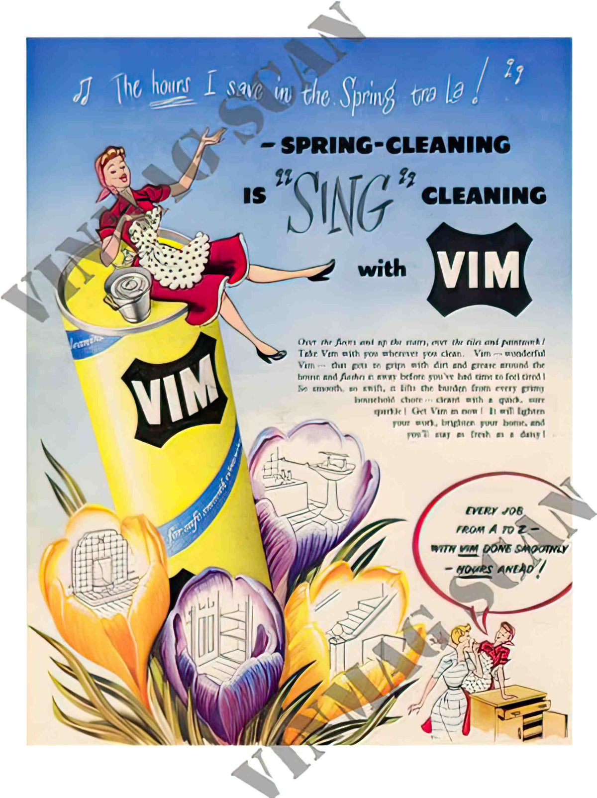 BP075 vim 1950s 2 Advert A4 Photo Print