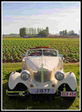 BUFORIMadison MKII 4811 8 Car A4 Photo Print