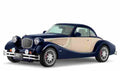 BUFORIV6i MKIII  4812 3 Car A4 Photo Print