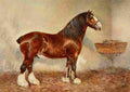 Babbage Frank Horse 1911 Clydesdale stallion A4 Photo Print