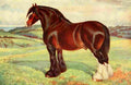 Babbage Frank Horse 1911 Shire stallion Harold A4 Photo Print