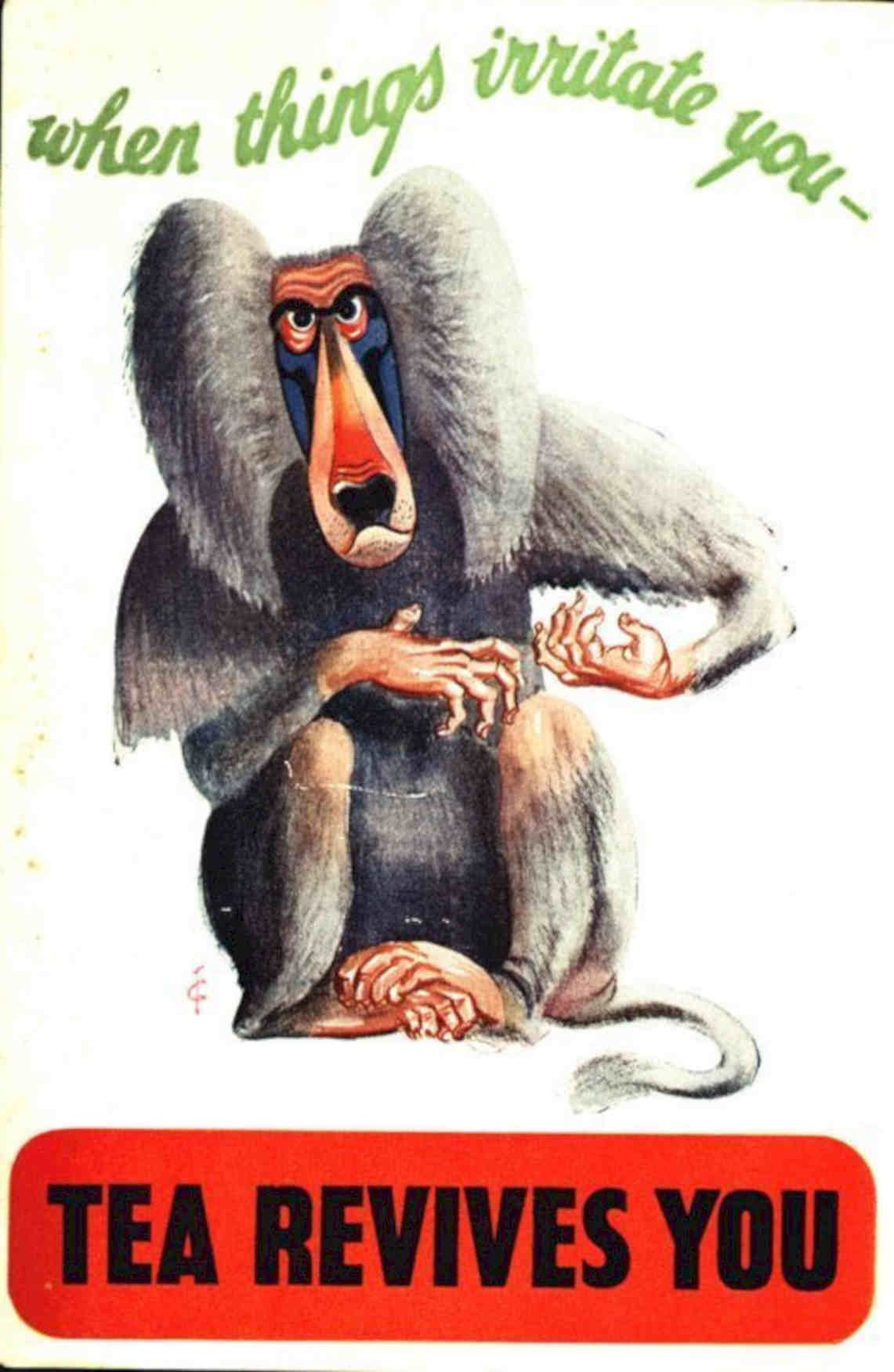 Baboon Tea Revives Vintage Retro Advert Poster A4 Photo Print