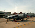 Bae Sea Harrier 10 Military A4 Photo Print