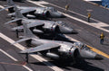 Bae Sea Harrier 13 Military A4 Photo Print