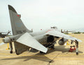 Bae Sea Harrier 19 (2) Military A4 Photo Print