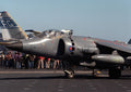 Bae Sea Harrier 5 Military A4 Photo Print
