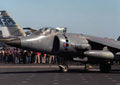 Bae Sea Harrier 5 (2) Military A4 Photo Print
