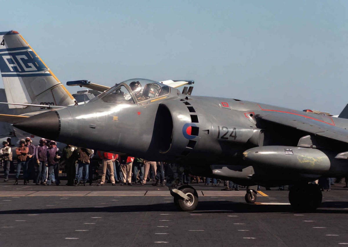 Bae Sea Harrier 5 (2) Military A4 Photo Print