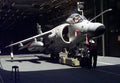Bae Sea Harrier 7 Military A4 Photo Print
