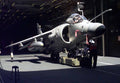 Bae Sea Harrier 7 (2) Military A4 Photo Print