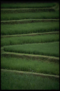 Bali 202008 Geometry In The Padis A4 Photo Print
