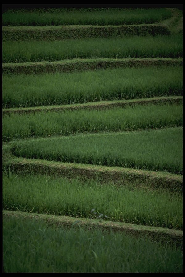 Bali 202008 Geometry In The Padis A4 Photo Print