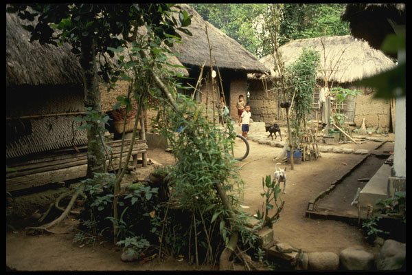 Bali 202013 Farm Homes A4 Photo Print
