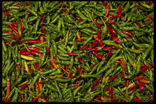 Bali 202016 Chiles A4 Photo Print