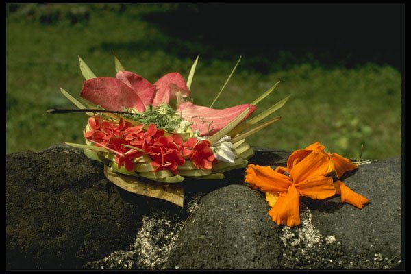Bali 202025 Floral Offerings, Ubud A4 Photo Print