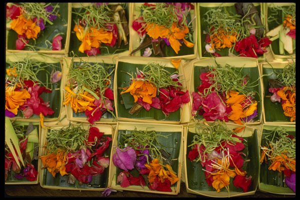 Bali 202026 Offerings For Sale At The Ubud Market A4 Photo Print