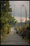 Bali 202084 A Street In Ubud A4 Photo Print
