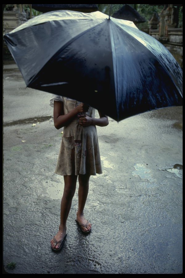 Bali 202086 Hiding From The Rain A4 Photo Print