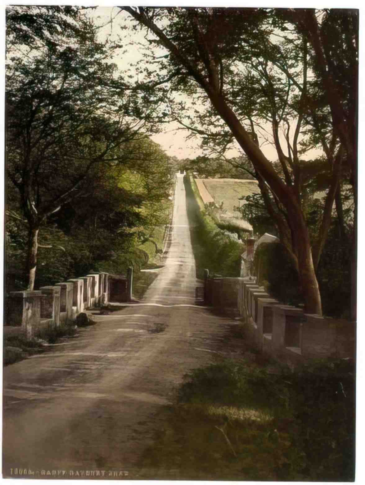 Banffshire Banff Gaveney Brae Vintage A4 Photo Print