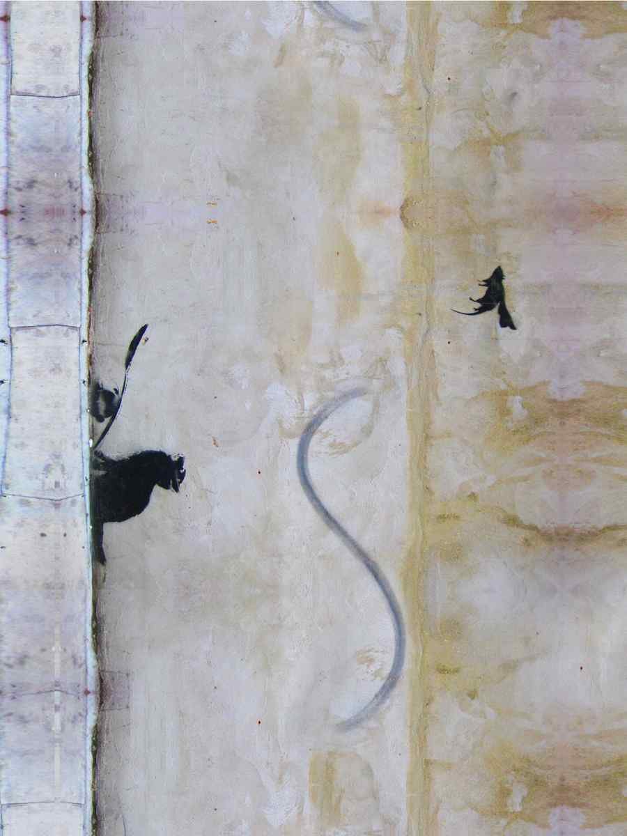 Banksy Cat flying Mouse plus A4 Photo Print