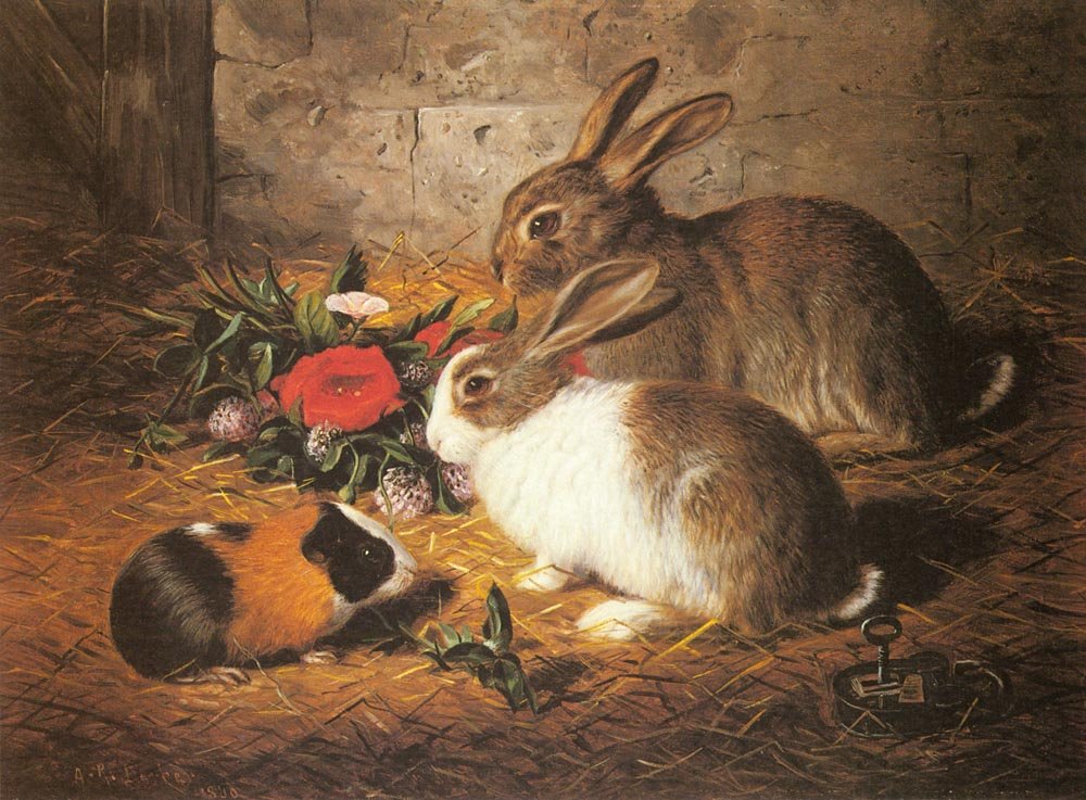 Barber Alfred R Escaped Two Rabbits And A Guinea Pig Art A4 Photo Print
