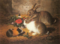 Barber Alfred R Escaped Two Rabbits And A Guinea Pig Art A4 Photo Print UK