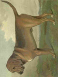 Barber Burton Book Dog 1881 Bloodhound A4 Photo Print